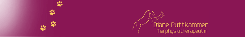 Diane Puttkammer - Tierphysiotherapie